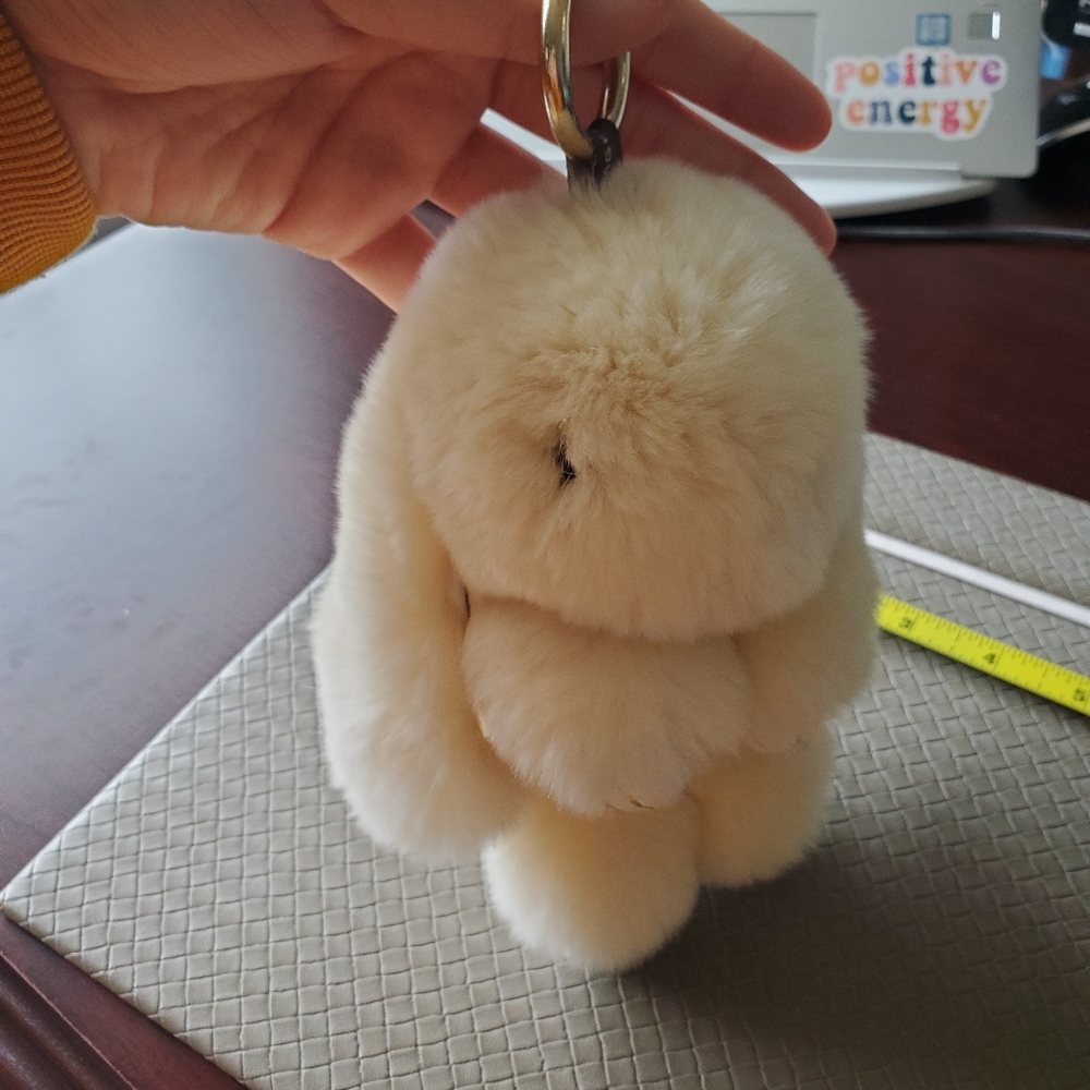Hidden Bunny